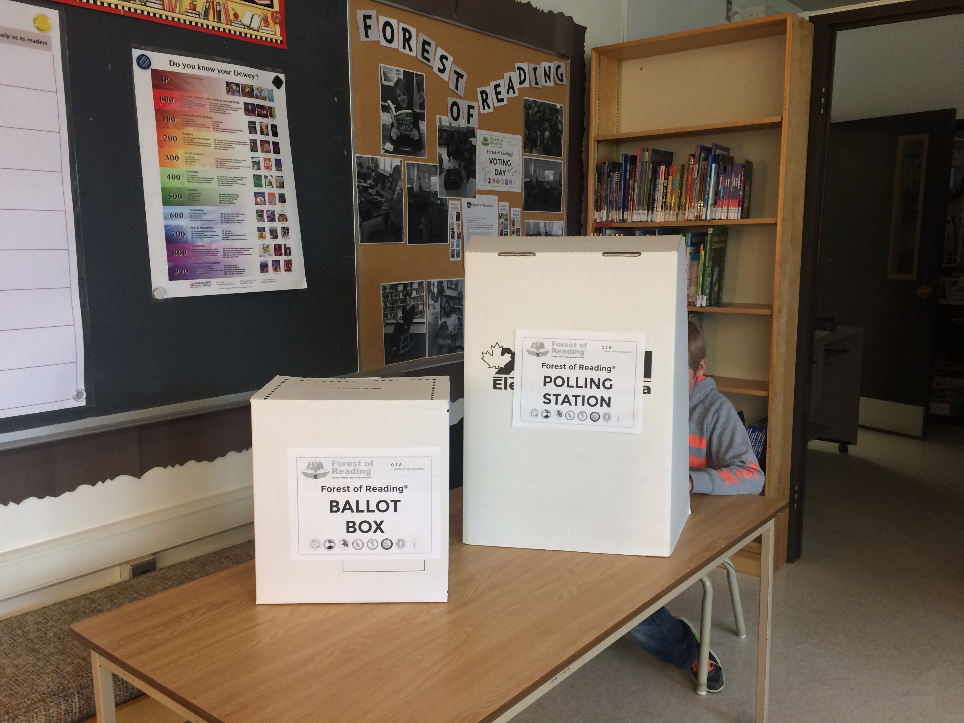 student voting for favourite book behind secret ballot